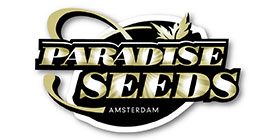 Paradise Seeds - Acid 10