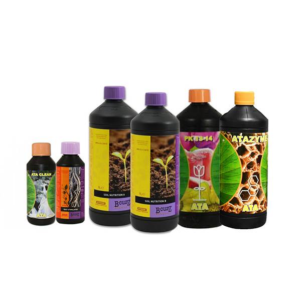 Mega Pack B'Cuzz TERRA