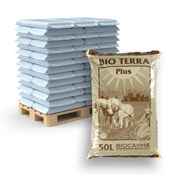 Bancale Canna Bio Terra Plus 50L (60 Sacchi)