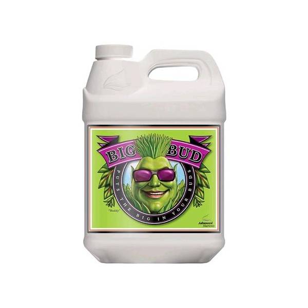 Advanced Nutrients - Big Bud 250ml