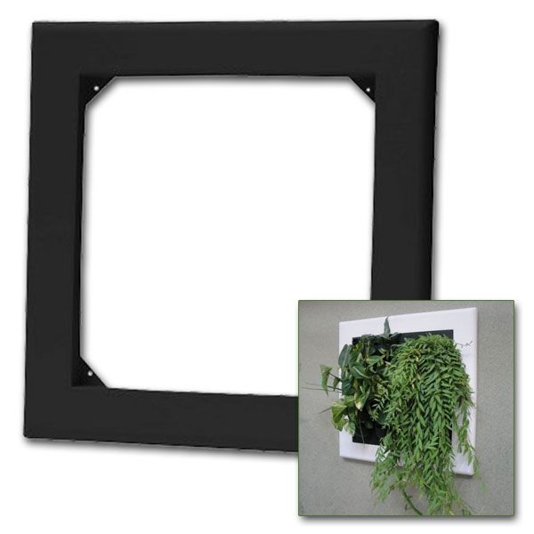 Cornice nera per Flowall - 40x42cm