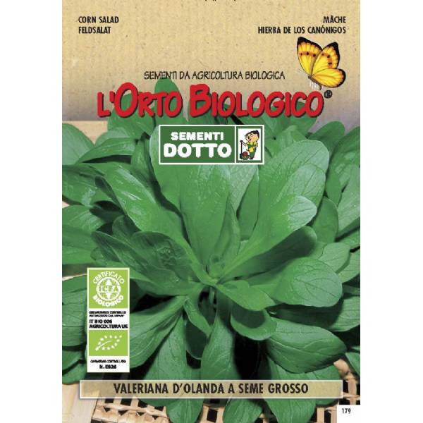 Semi biologici di Valeriana D'Olanda Seme Grosso