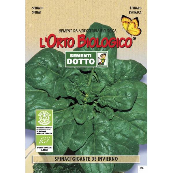 Semi biologici di Spinacio Gigante De Invierno
