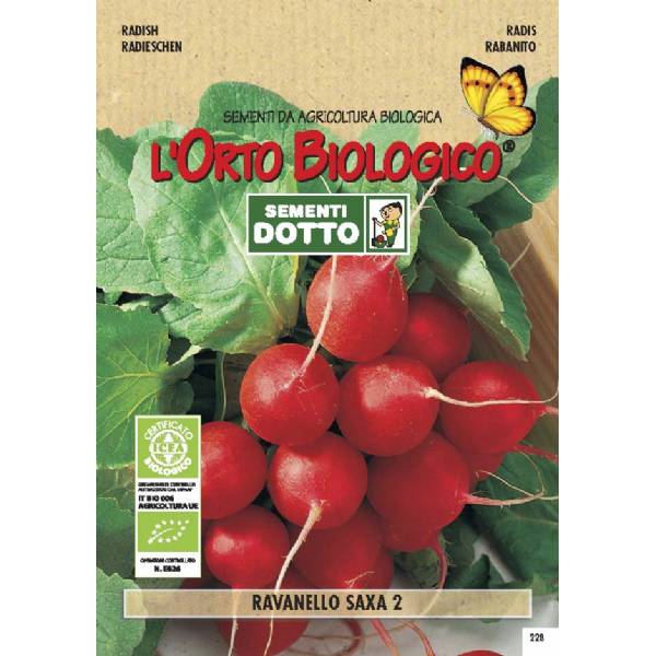 Semi biologici di Ravanello Saxa 2