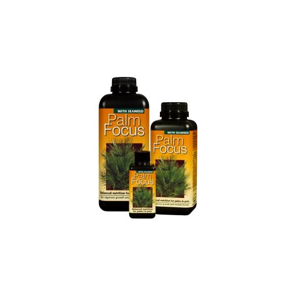 Palm Focus 300ml - Growth Technology