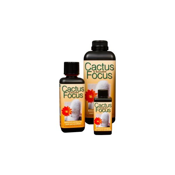 Cactus Focus 300ml - Growth Technology