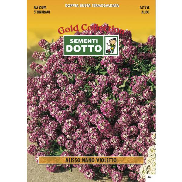 Semi di ALISSO Violetto nano - h cm 15