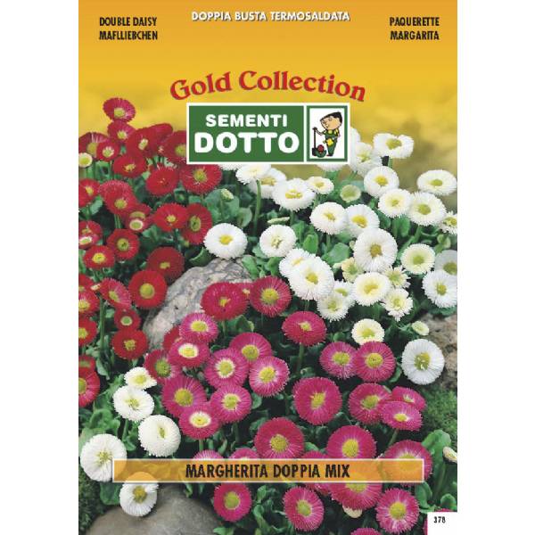 Semi di MARGHERITA Doppia in mix - h cm 15