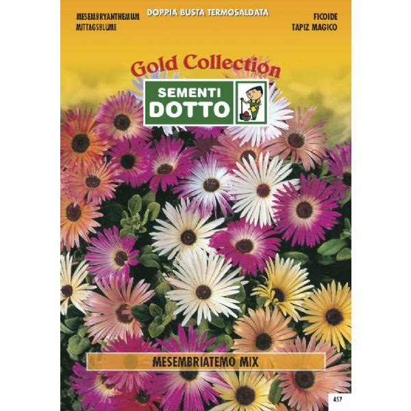 Semi di MESEMBRIANTEMO  in mix - h cm 10