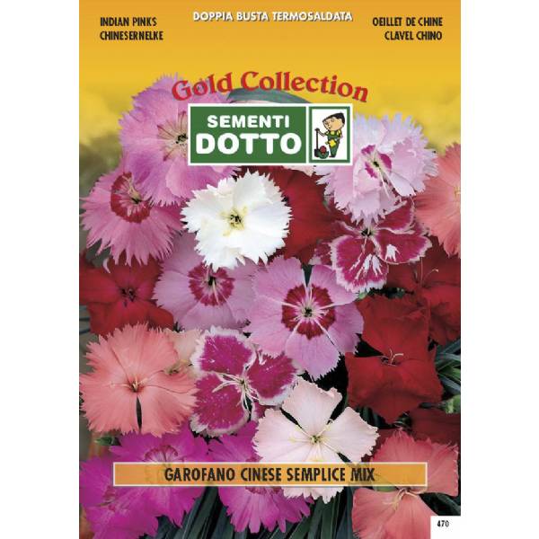 Semi di GAROFANO Cinese Semplice in mix - h cm 35