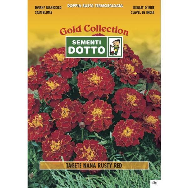 Semi di TAGETE Nana  Rusty Red - h cm 25