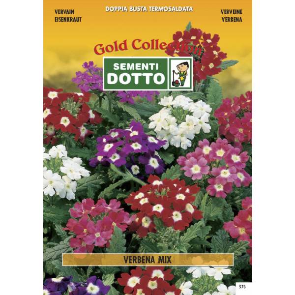 Semi di VERBENA in mix - h cm 30