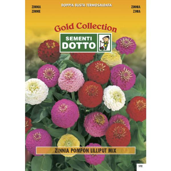 Semi di ZINNIA Pompon Lilliput in mix - h cm 75