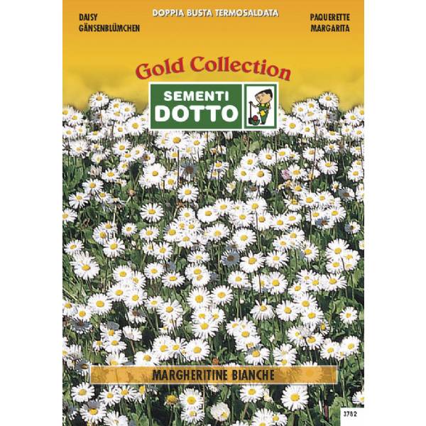 Semi di MARGHERITINE Bianche - h cm 15