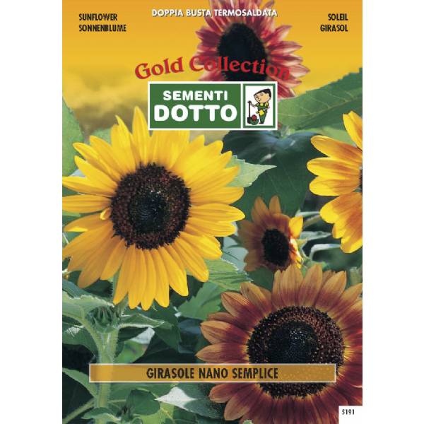 Semi di GIRASOLE Nano Semplice - h cm 60