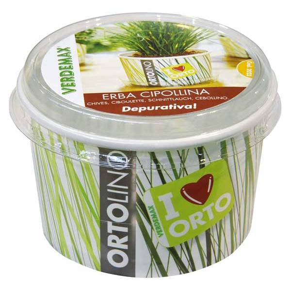 Kit Coltivazione - Ortolino Erba Cipollina