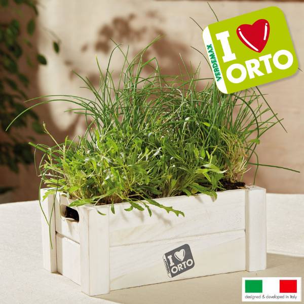 Kit Coltivazione Easyorto di Verdemax - Rucola ed Erba Cipollina