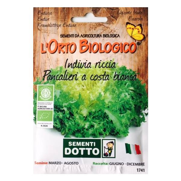 Semi Biologici di Indivia Riccia Pancalieri