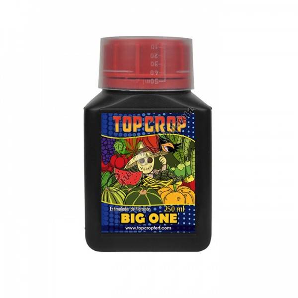 Top Crop - Big One - 250ml