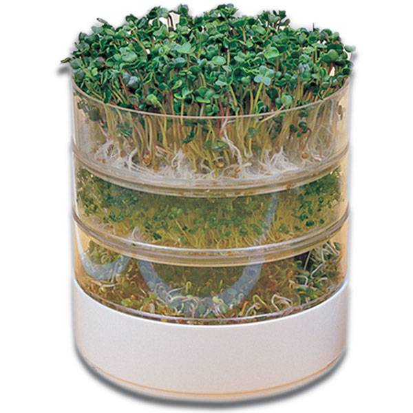 Germogliatore - Bioset