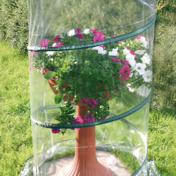 Verdemax - Serra Pop-up Anthurium cm 70xh110