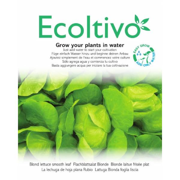 Lattuga Bionda a Foglia Liscia - Ecoltivo