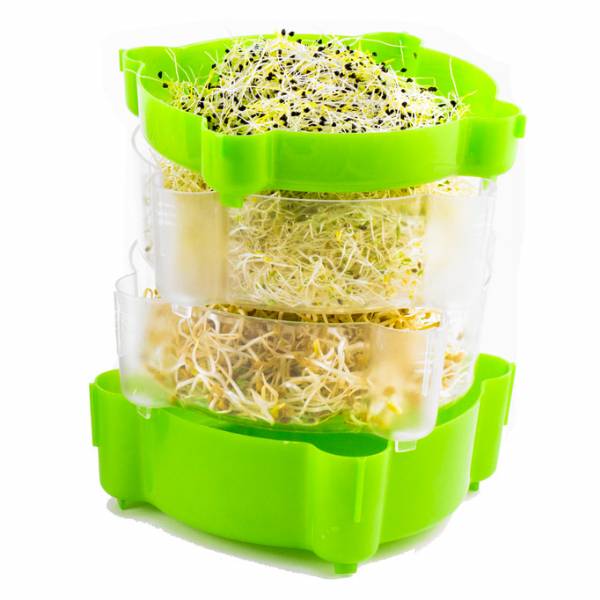 Germogliatore a 2 Livelli + 1 - Germogliamo