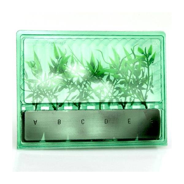 Blister Spedizione e Trasporto Talee