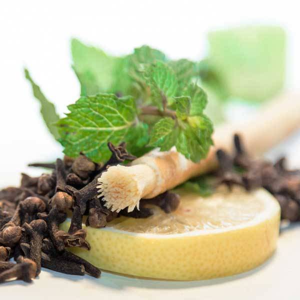 Siwak - Spazzolino Naturale