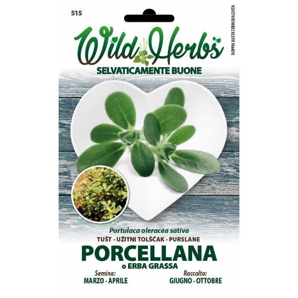 Semi Dotto Erba Grassa