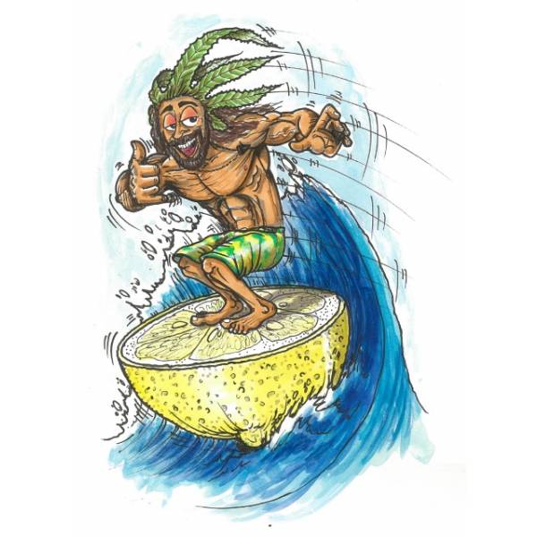 Quantamon Seeds - Quantalemon - 5 fem