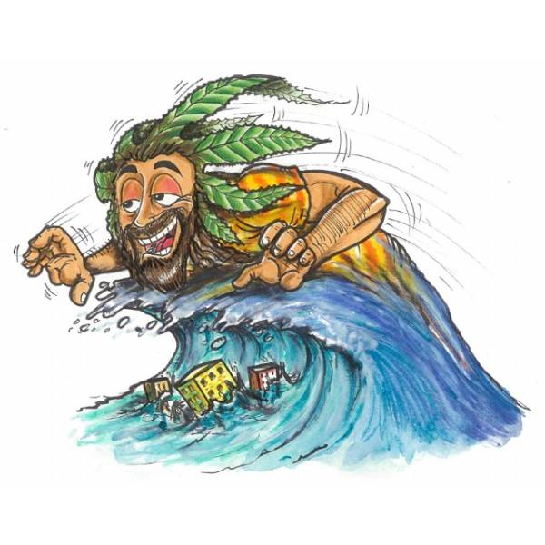 Quantamon Seeds - Tsunami Haze - 3 fem