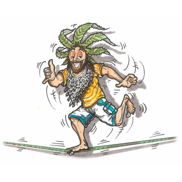 Quantamon Seeds - Quintakush - 3 fem