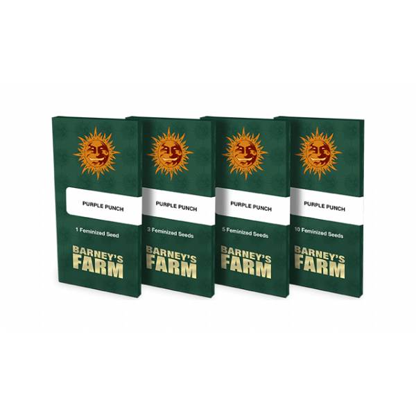 Barney's Farm - Glookies 5 fem