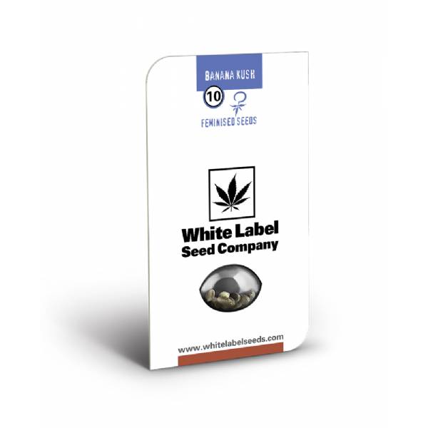 White Label - Banana Kush - 3 Fem
