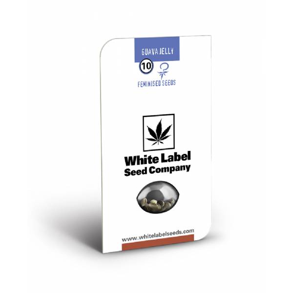 White Label - Guava Jelly - 10 Fem