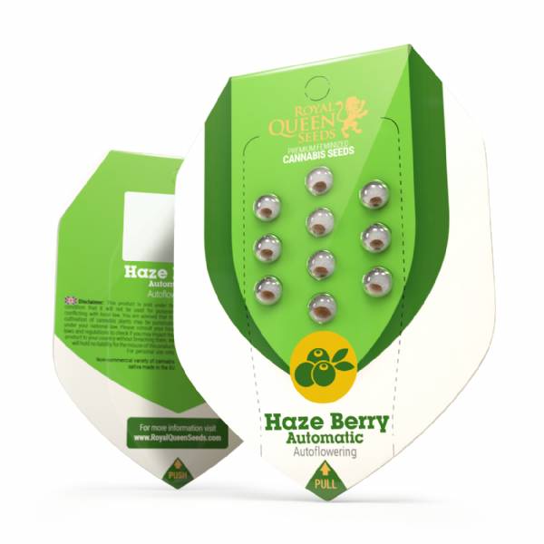 Royal Queen Seeds - Haze Berry Auto - 5 Auto