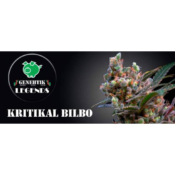 Genehtik - Kritical Bilbo - 25 Fem
