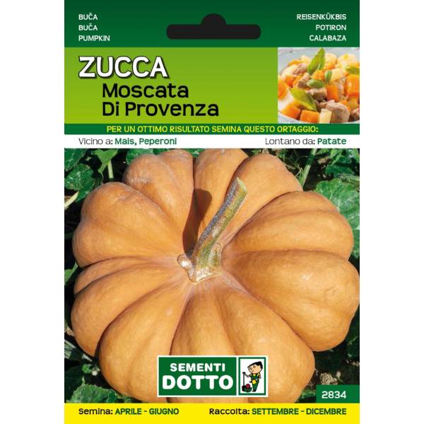 Sementi da Orto - Zucca Moscata di Provenza - Sem. Dotto