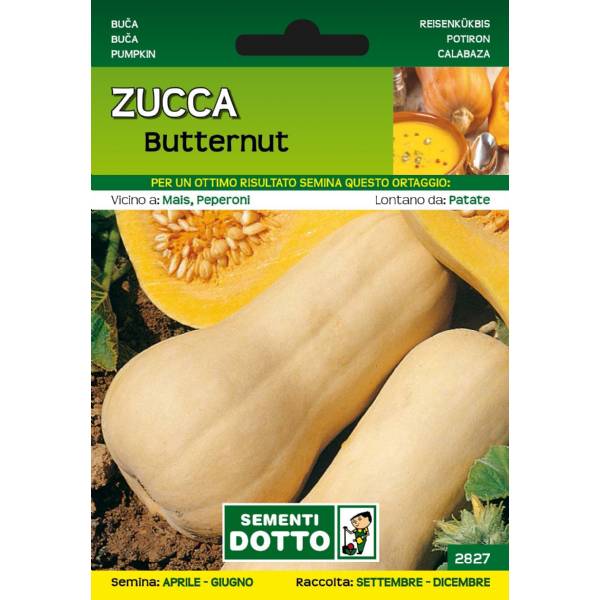Sementi da Orto - Zucca Butternut - Sem. Dotto