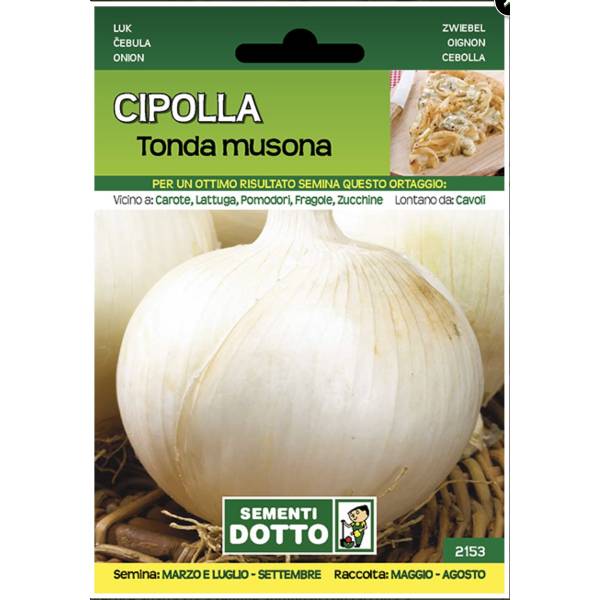 Sementi da Orto - Cipolla Tonda Musona - Sem. Dotto
