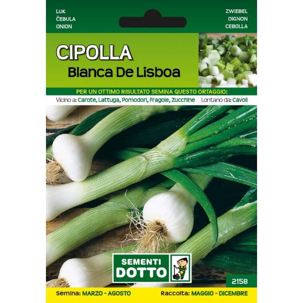 Sementi da Orto - Cipolla Bianca di Lisbona - Sem. Dotto