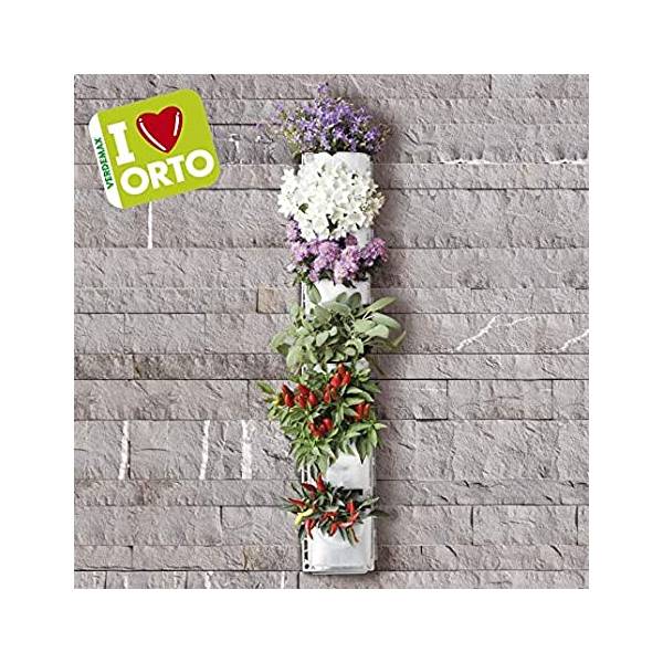 Giardino Verticale - Verdemax