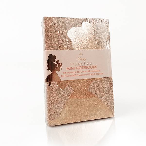 3 Mini notebooks Principesse Disney