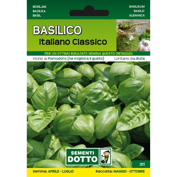 Sementi da Orto - Basilico Italiano classico - Sem. Dotto
