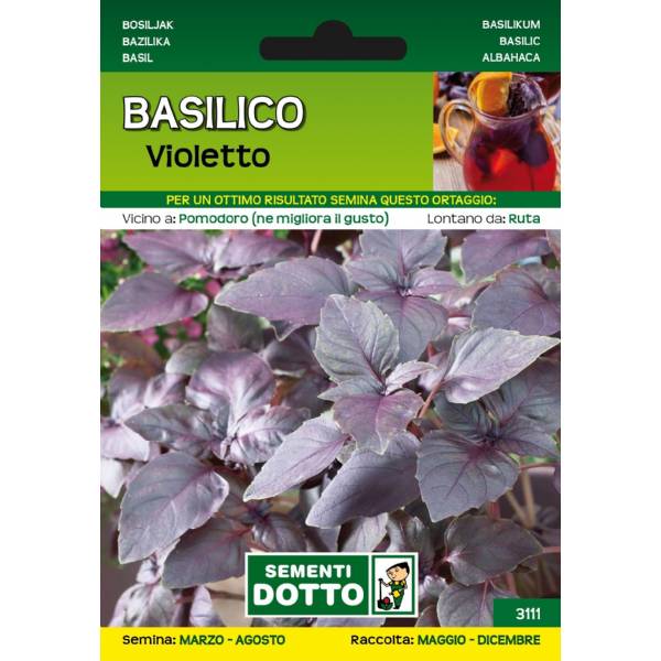 Sementi da Orto - Basilico Violetto - Sem. Dotto