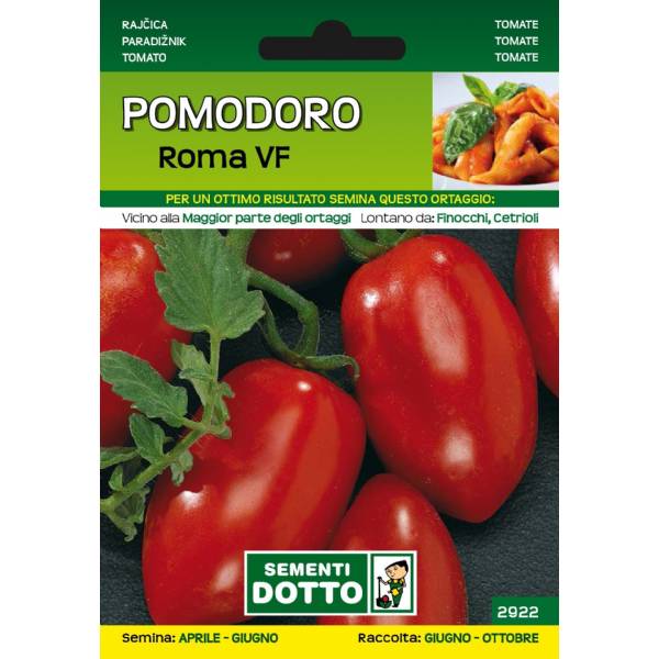 Sementi da Orto - Pomodoro Roma VF - Sem. Dotto