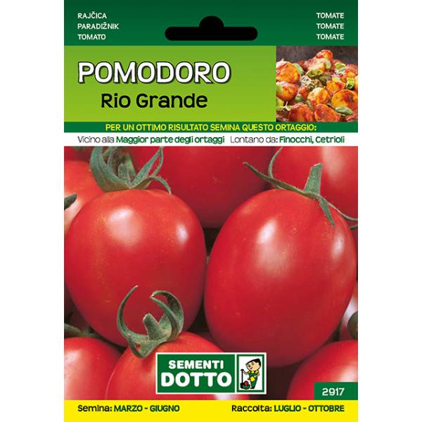 Sementi da Orto - Pomodoro Rio Grande - Sem. Dotto