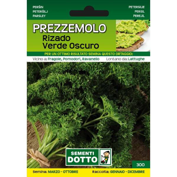 Sementi da Orto - Prezzemolo Rizado verde oscuro 2 - Sem. Dotto
