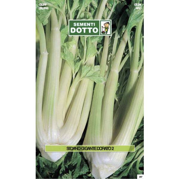 Sementi da Orto - Sedano Gigante dorato 2 - Sem. Dotto
